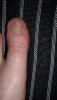 SAM_1098.jpg